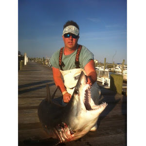 Meet your Posher, William